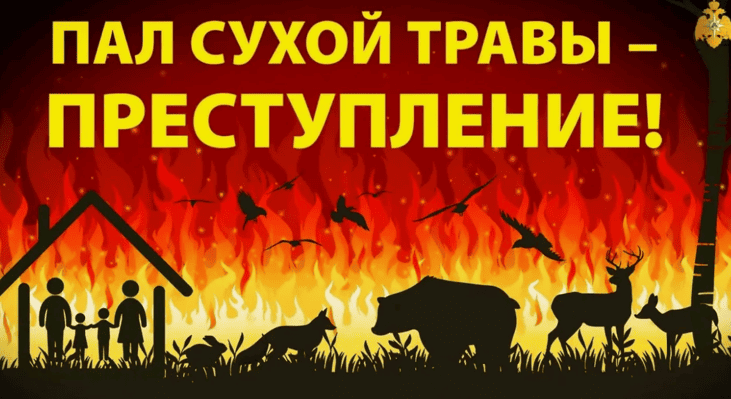 Пал травы. Чем опасно? Какое наказание?